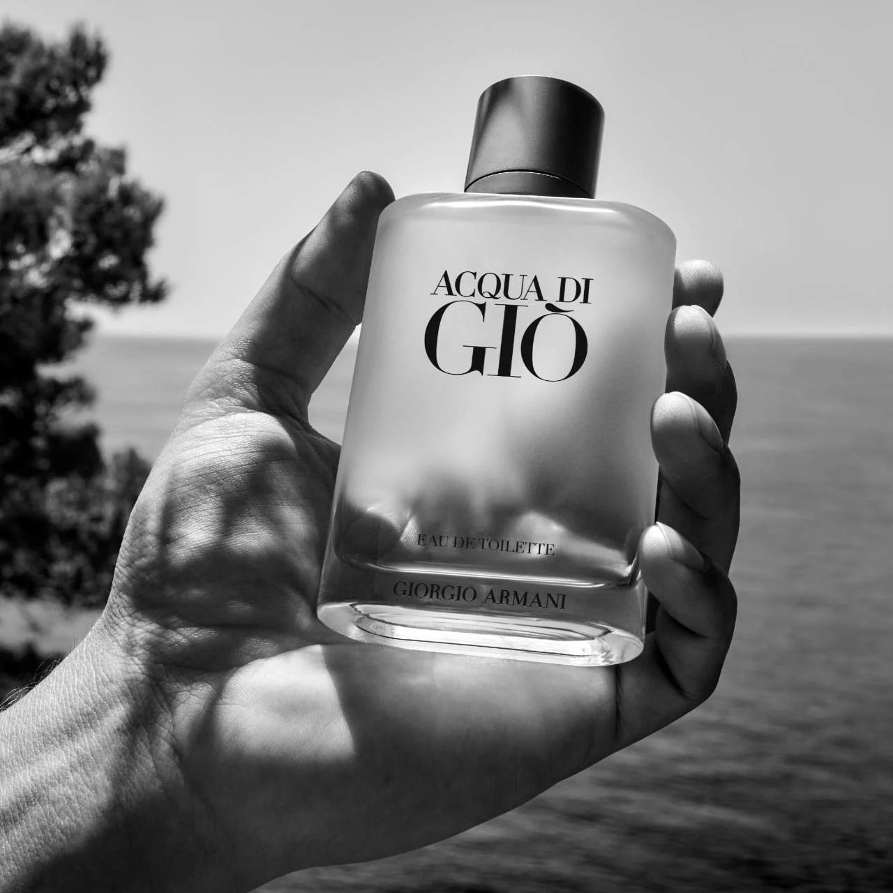 Acqua Di Gio for Men by Giorgio Armani EDT